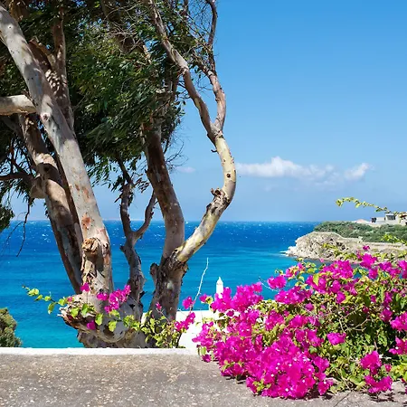 Alkistis - Designed For Adults Hotel Agios Stefanos (Mykonos)