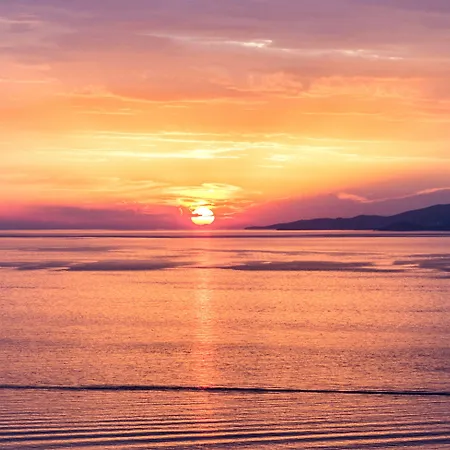 Alkistis - Designed For Adults 3*