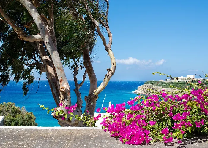 Alkistis - Designed For Adults Hotel Agios Stefanos (Mykonos)